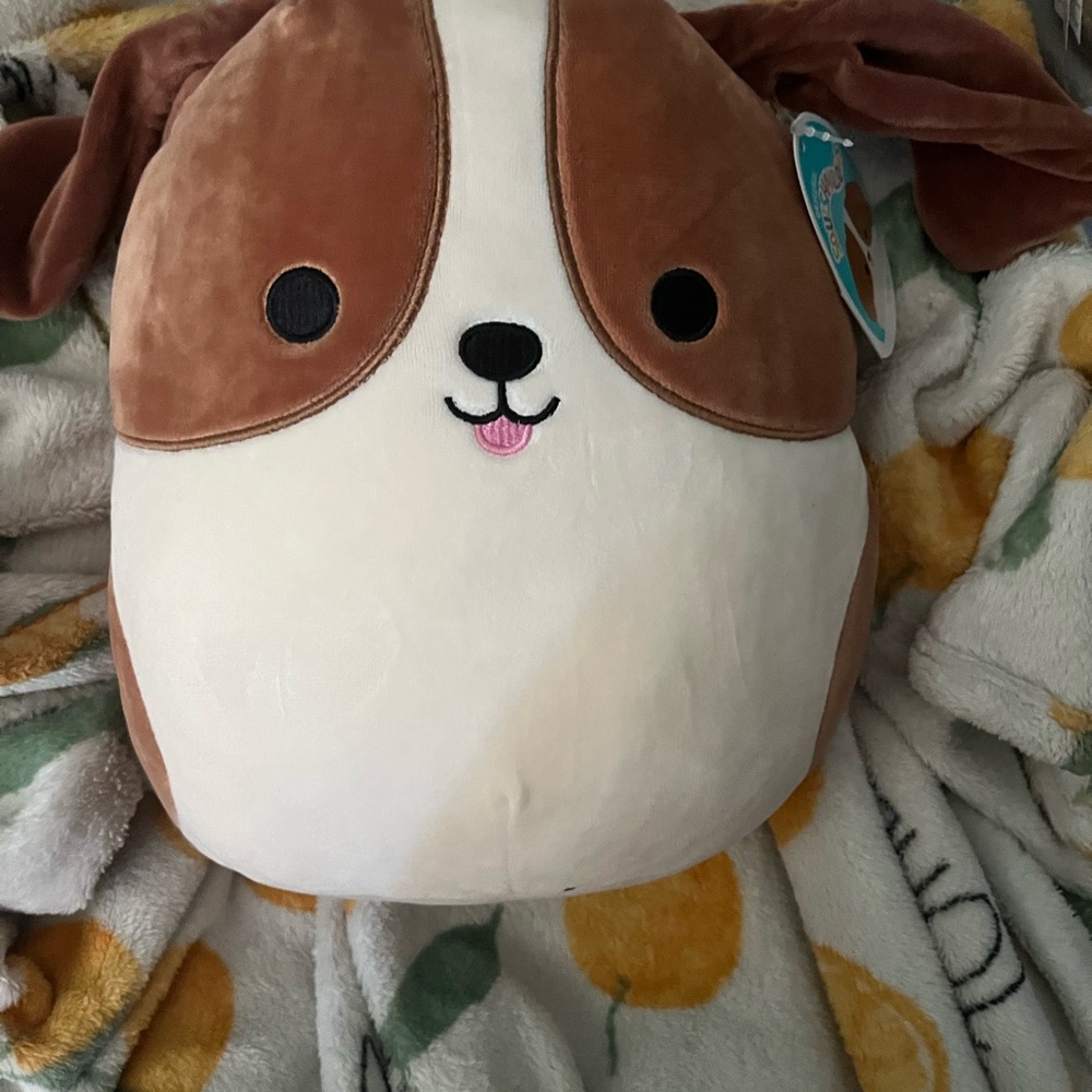 squishmallow, tyree